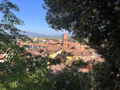 Turismo