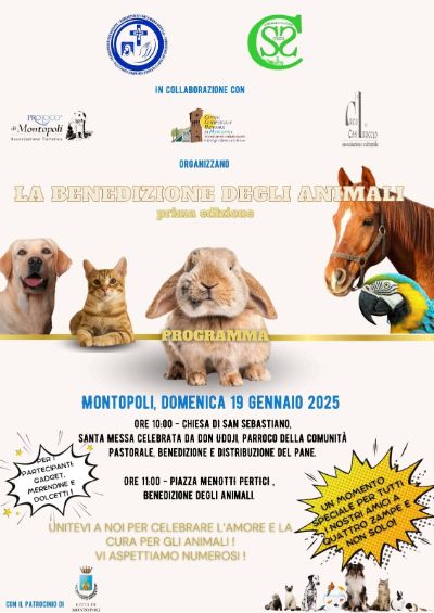 benedizione animali
