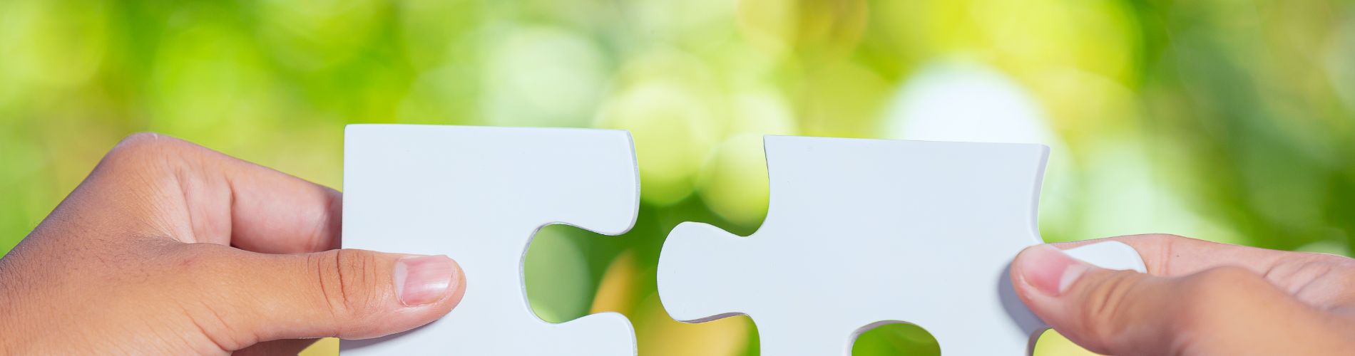 IV Commissione Consiliare - Affari Sociali